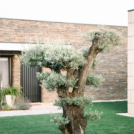 Villa 3encostas