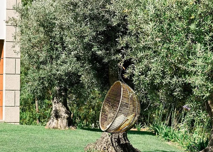 3 Encostas Villa Cabeceiras de Basto