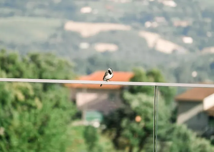 3 Encostas Βίλα *