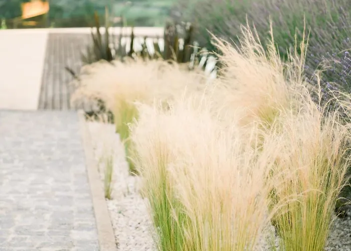 3 Encostas Cabeceiras de Basto